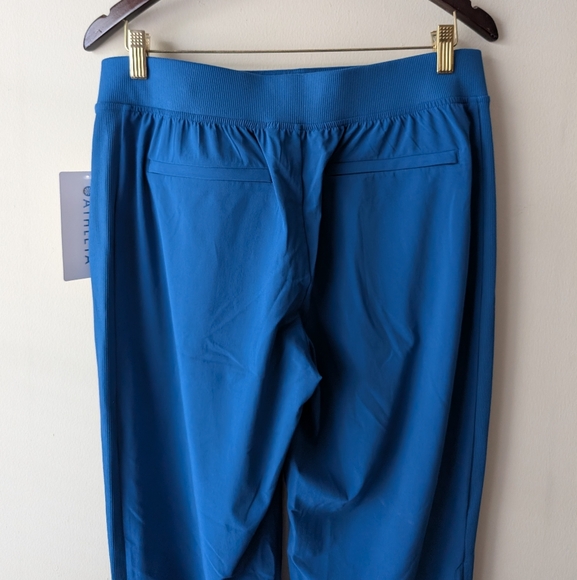 Athleta Brooklyn Ankle Pant Blue Pants 10P - Picture 5 of 5